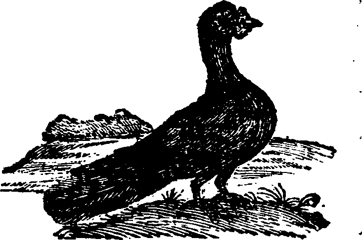 021/021910070200900_0.png