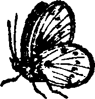 021/021910070200940_0.png