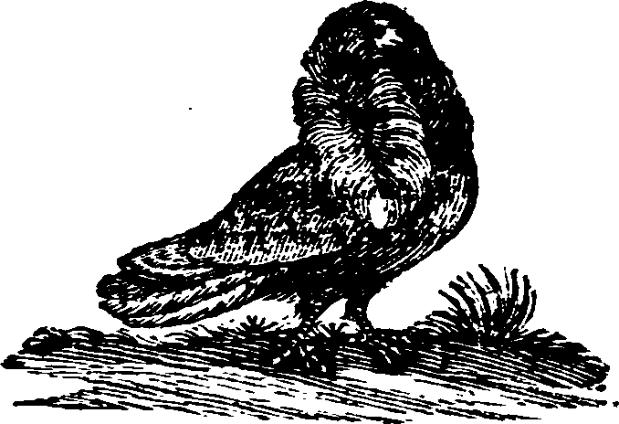 021/021910070200950_0.png