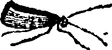 021/021910070200980_0.png