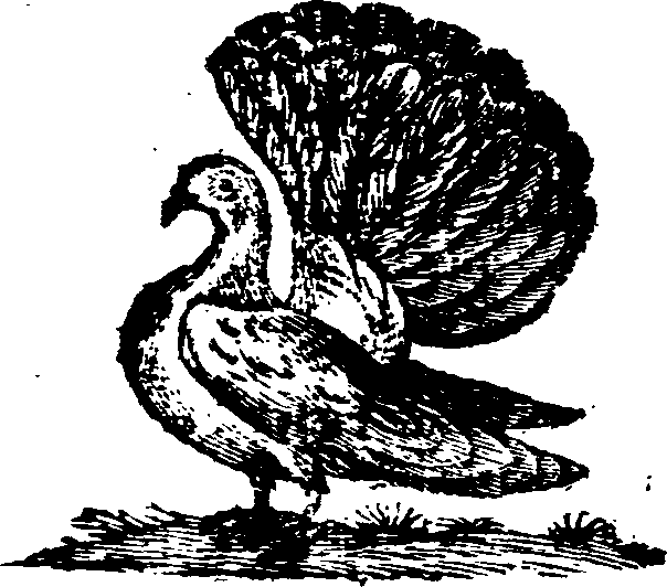 021/021910070200990_0.png