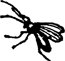 021/021910070201010_0.png