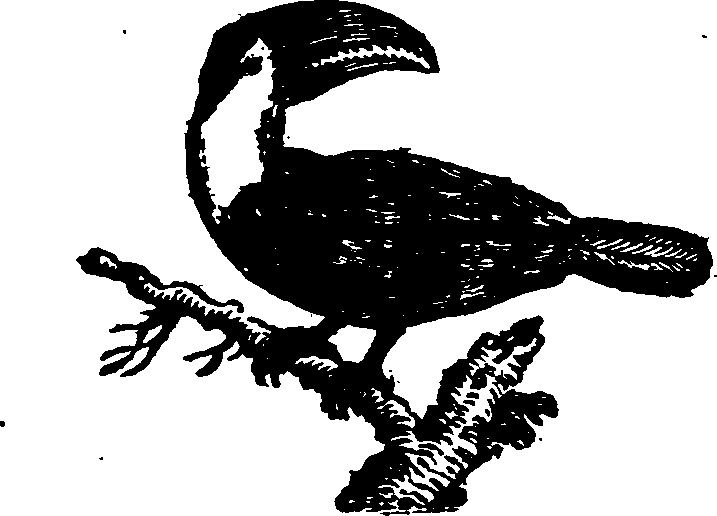 021/021910070201030_0.png