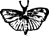 021/021910070201050_0.png