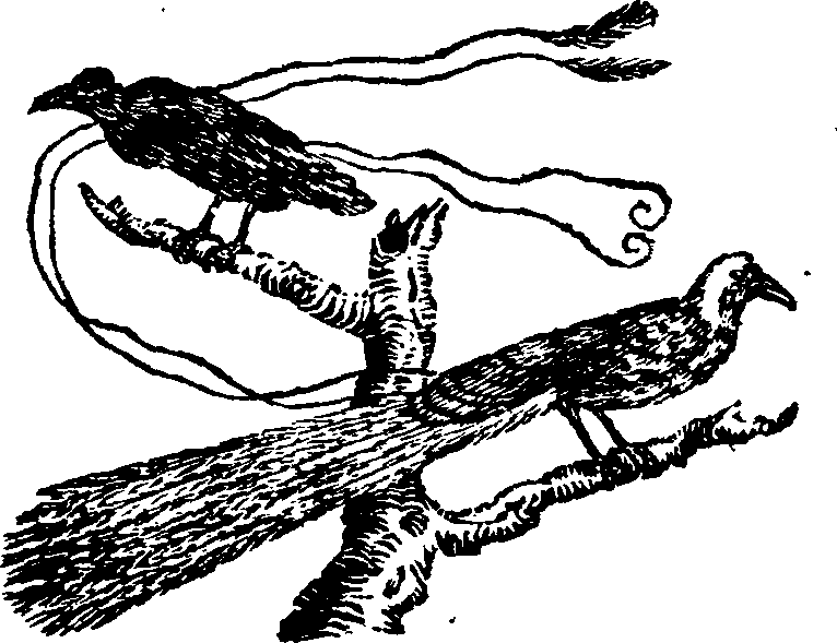 021/021910070201100_0.png
