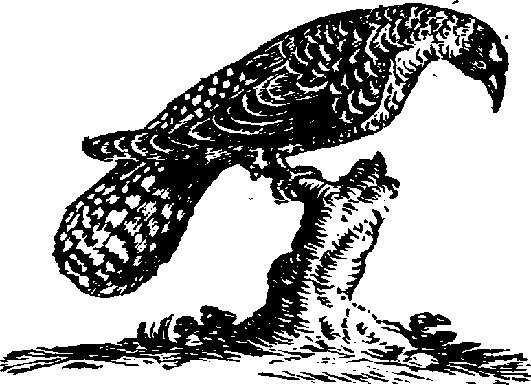 021/021910070201130_0.png