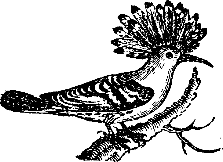 021/021910070201220_0.png