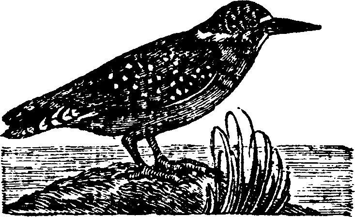021/021910070201260_0.png