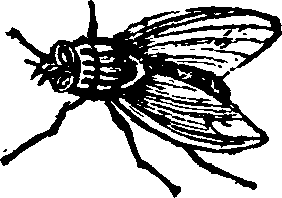 021/021910070201300_0.png