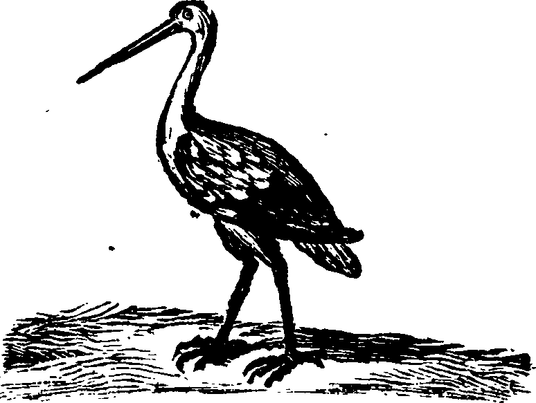 021/021910070201320_0.png