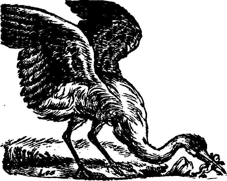 021/021910070201360_0.png