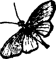 021/021910070201420_0.png