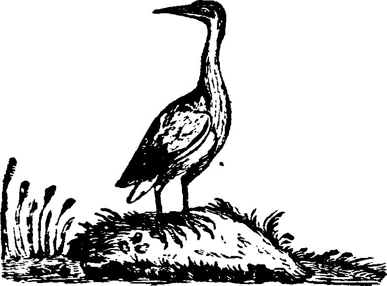 021/021910070201430_0.png