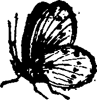 021/021910070201460_0.png