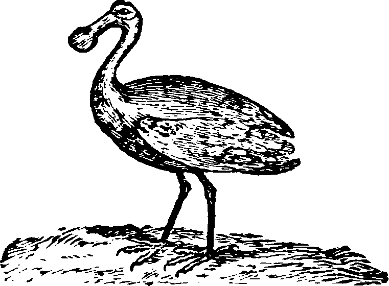 021/021910070201470_0.png