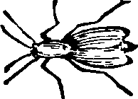 021/021910070201490_0.png