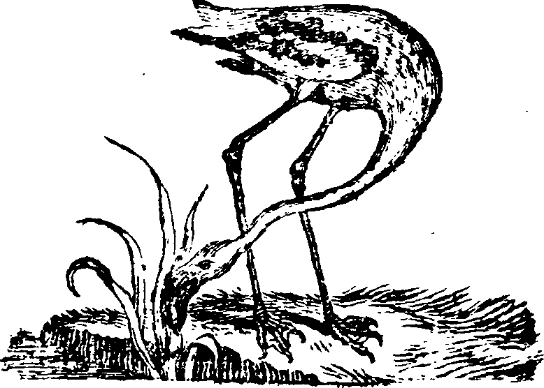 021/021910070201500_0.png