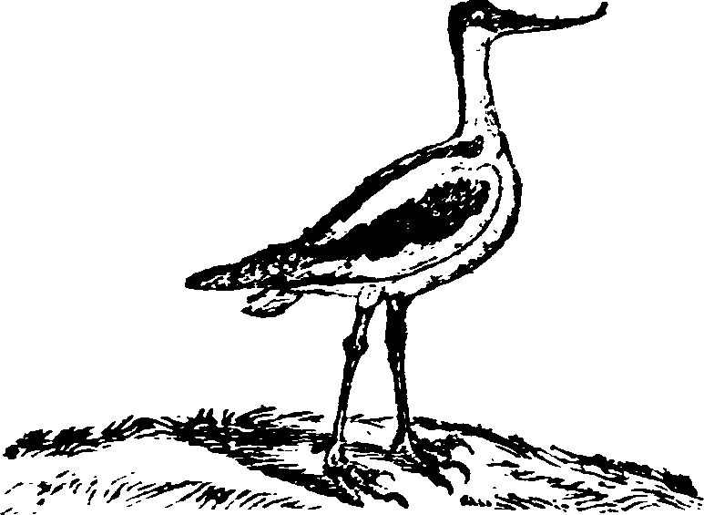 021/021910070201530_0.png