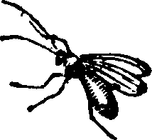 021/021910070201540_0.png