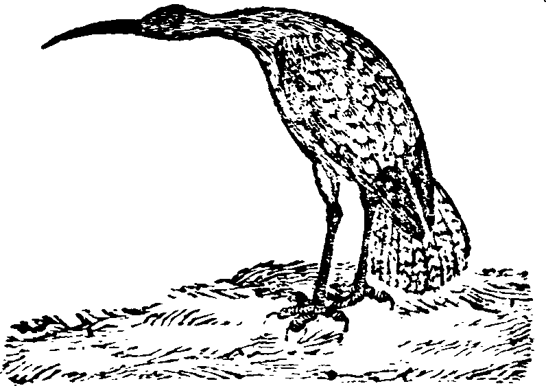 021/021910070201550_0.png