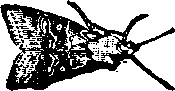021/021910070201580_0.png