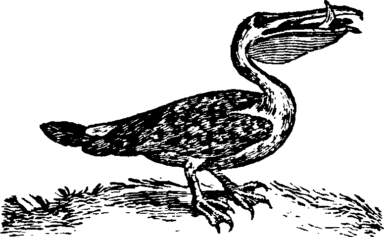 021/021910070201590_0.png