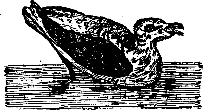 021/021910070201660_0.png