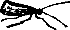 021/021910070201700_0.png