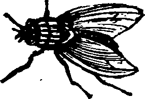 021/021910070201770_0.png