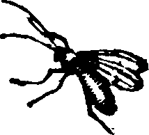021/021910070201870_0.png
