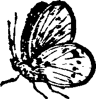 021/021910070201930_0.png