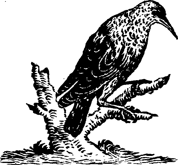 021/021910070201970_0.png