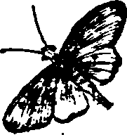 021/021910070201990_0.png