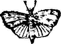 021/021910070202030_0.png