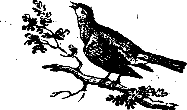 021/021910070202040_0.png