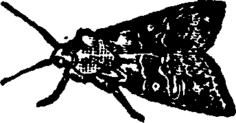 021/021910070202080_0.png
