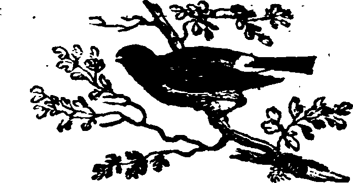 021/021910070202090_0.png