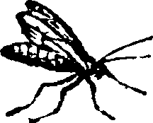 021/021910070202150_0.png