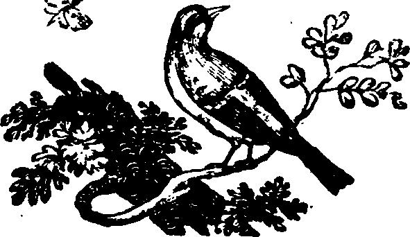 021/021910070202160_0.png