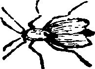 021/021910070202210_0.png