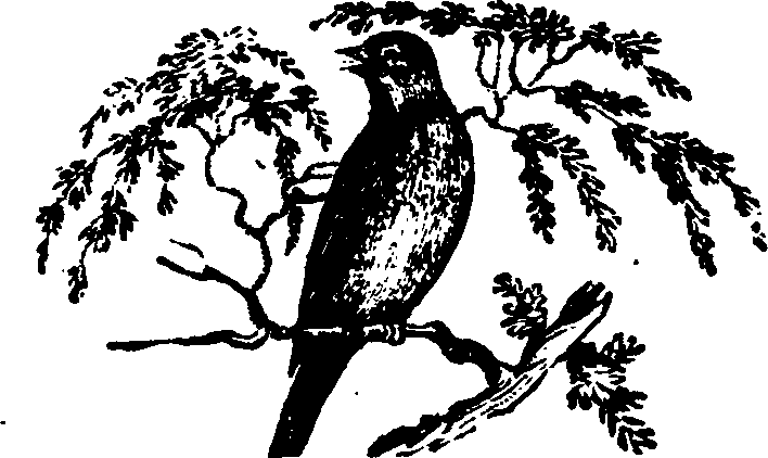 021/021910070202220_0.png