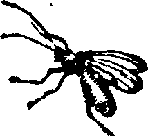 021/021910070202290_0.png