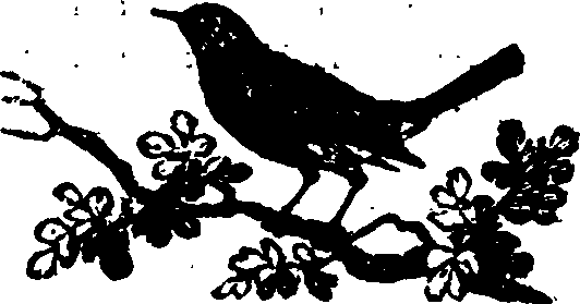 021/021910070202300_0.png