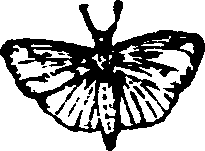 021/021910070202330_0.png