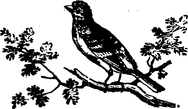 021/021910070202340_0.png