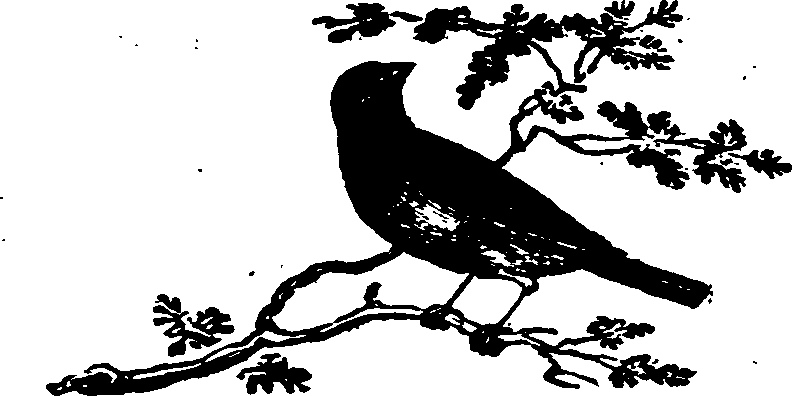 021/021910070202370_0.png