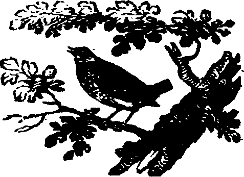 021/021910070202390_0.png