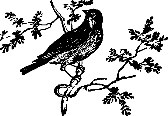 021/021910070202420_0.png