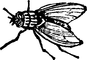 021/021910070202460_0.png