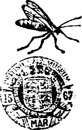 021/021910070202570_0.png